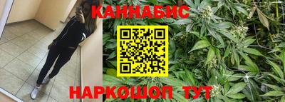 прущие крисы Кохма