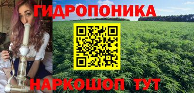 трава Котовск